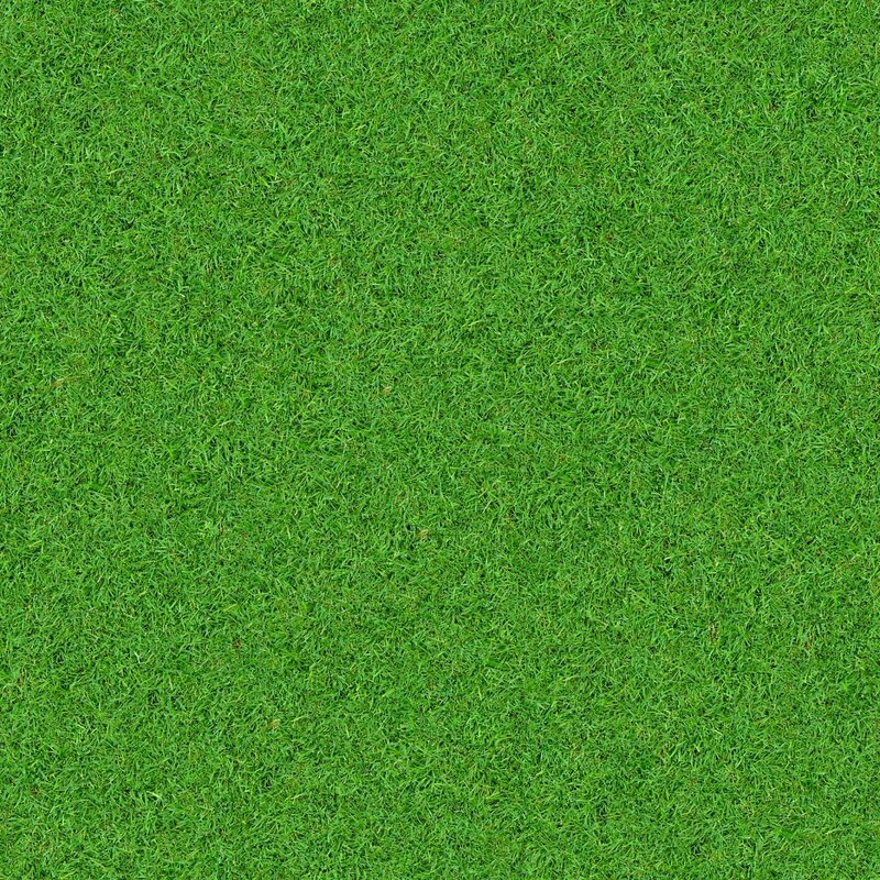 Green Grass Surface