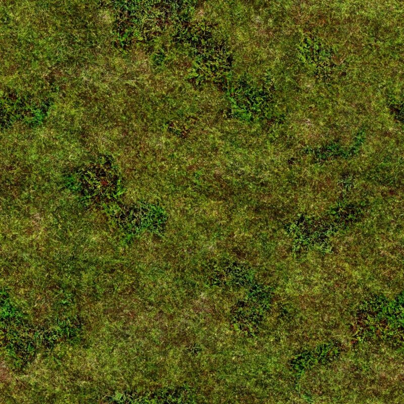 green grass texture
