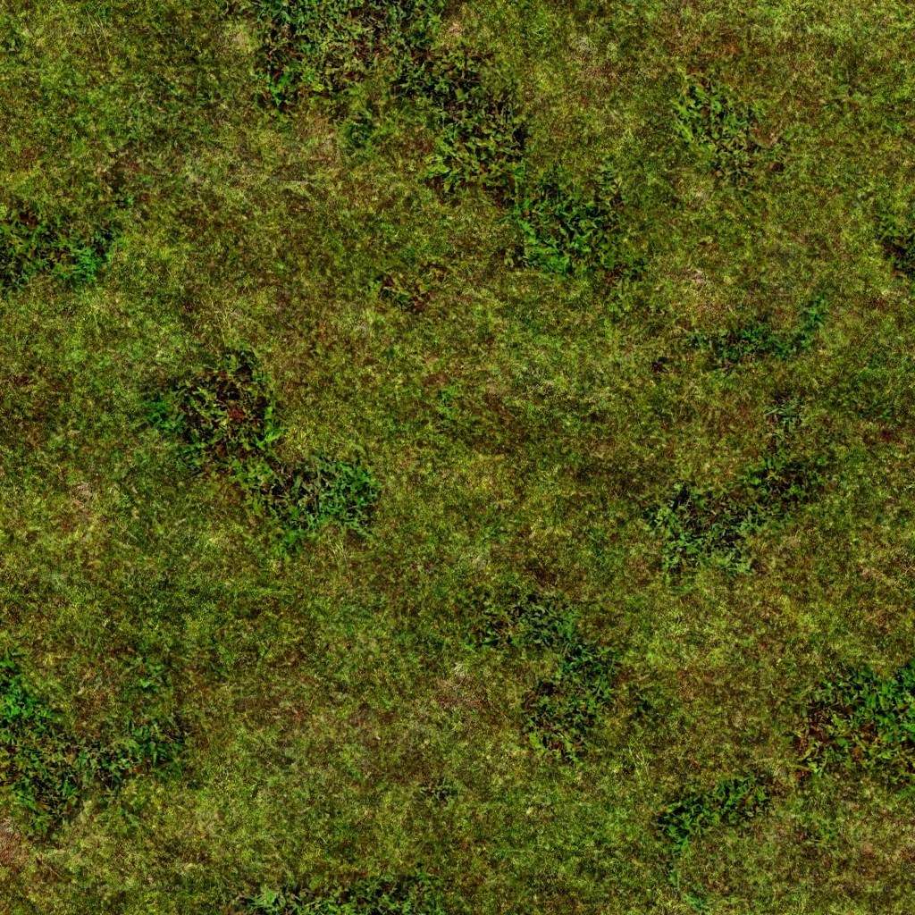 green grass texture