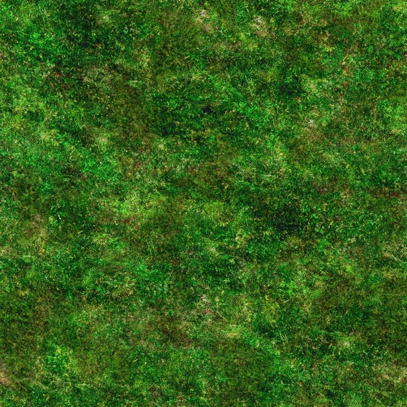 green grass texture