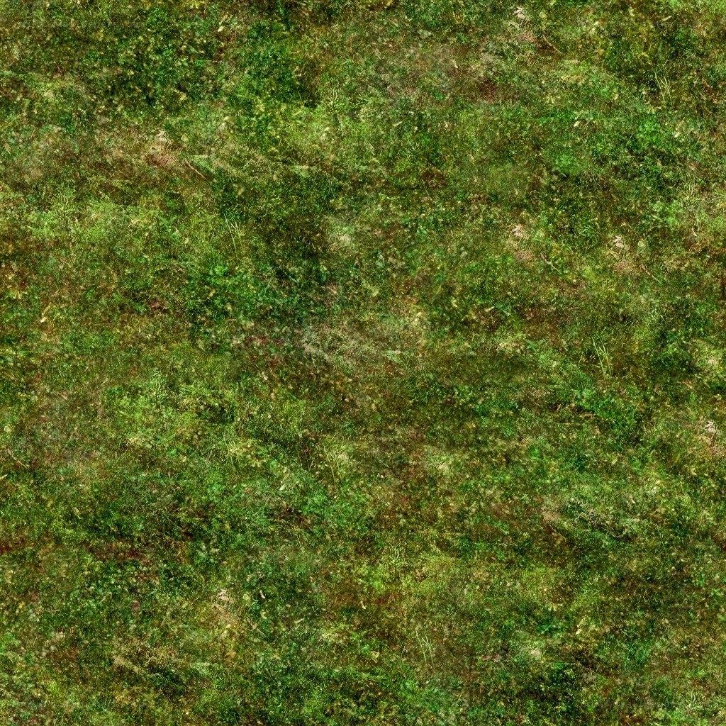 green grass texture