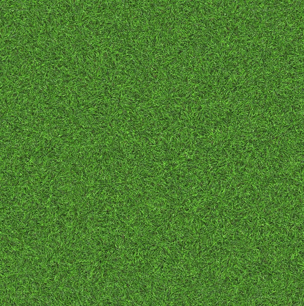 green grass texture