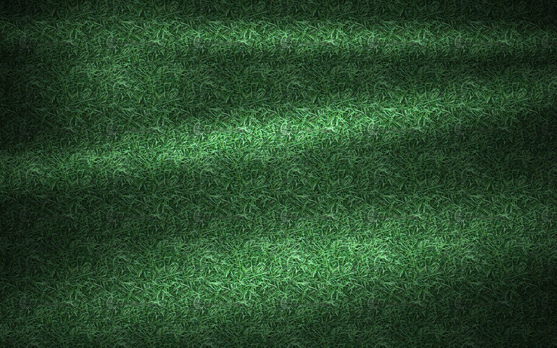 green grass texture background
