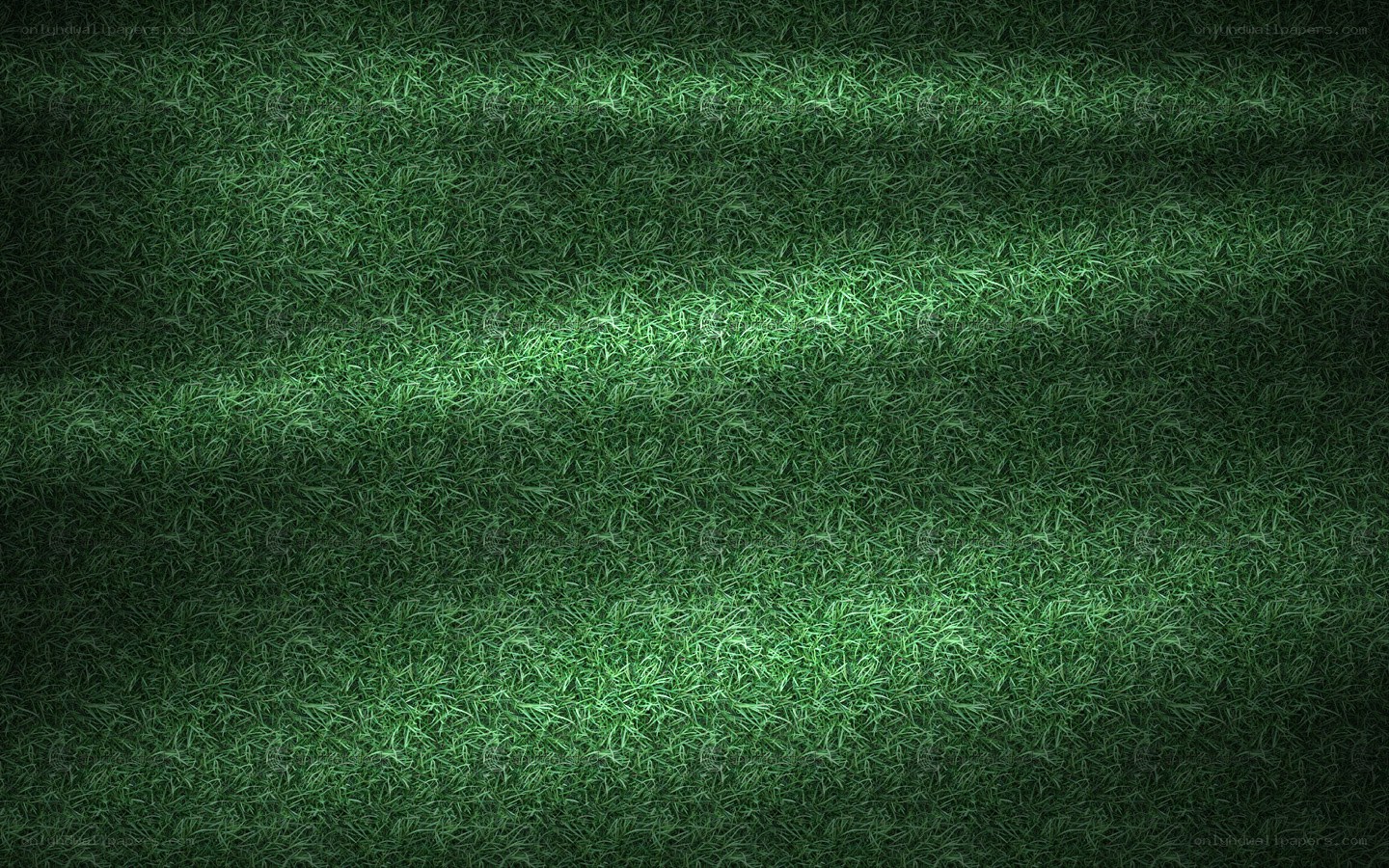 green grass texture background