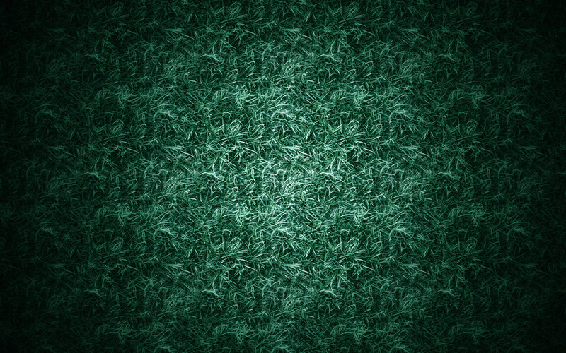Green Grass Texture — Dark