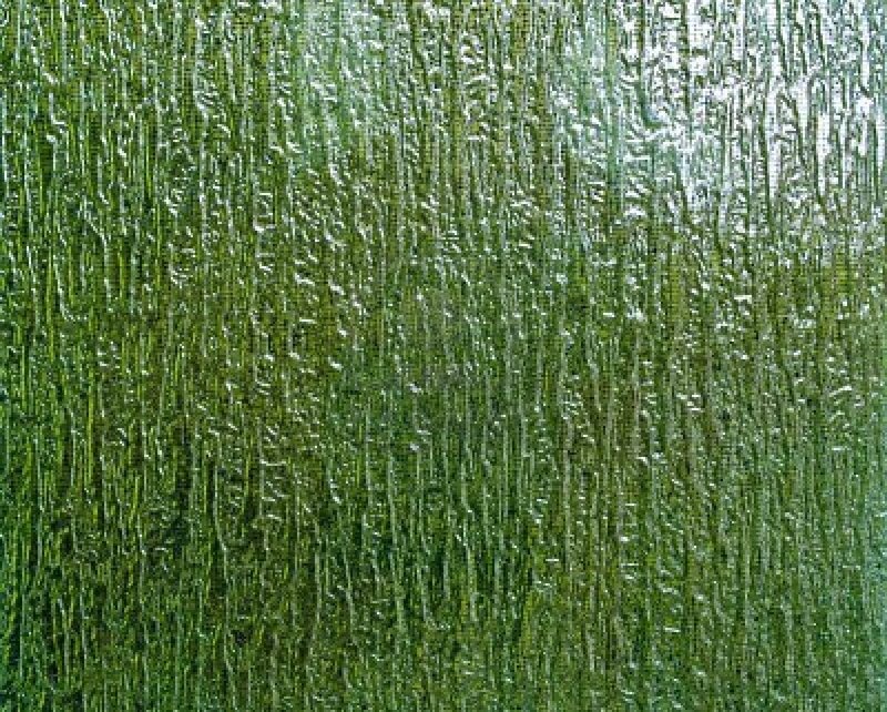 Green Grass Texture — Natural