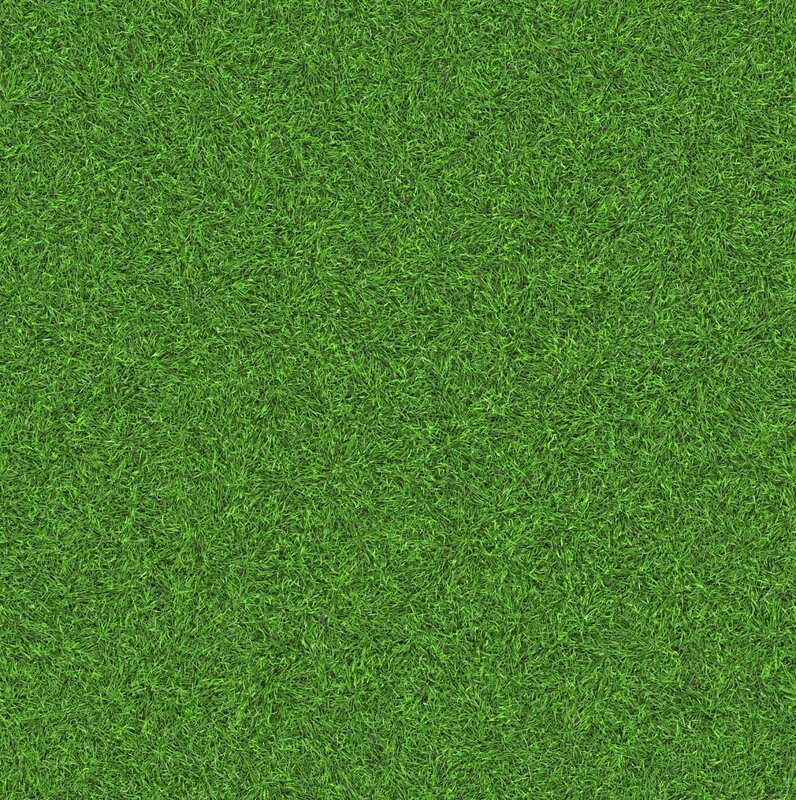 Green Grass Texture — Neutral, Photograph