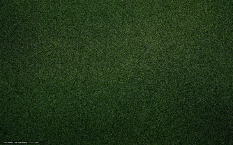 Green Grass Texture — Neutral