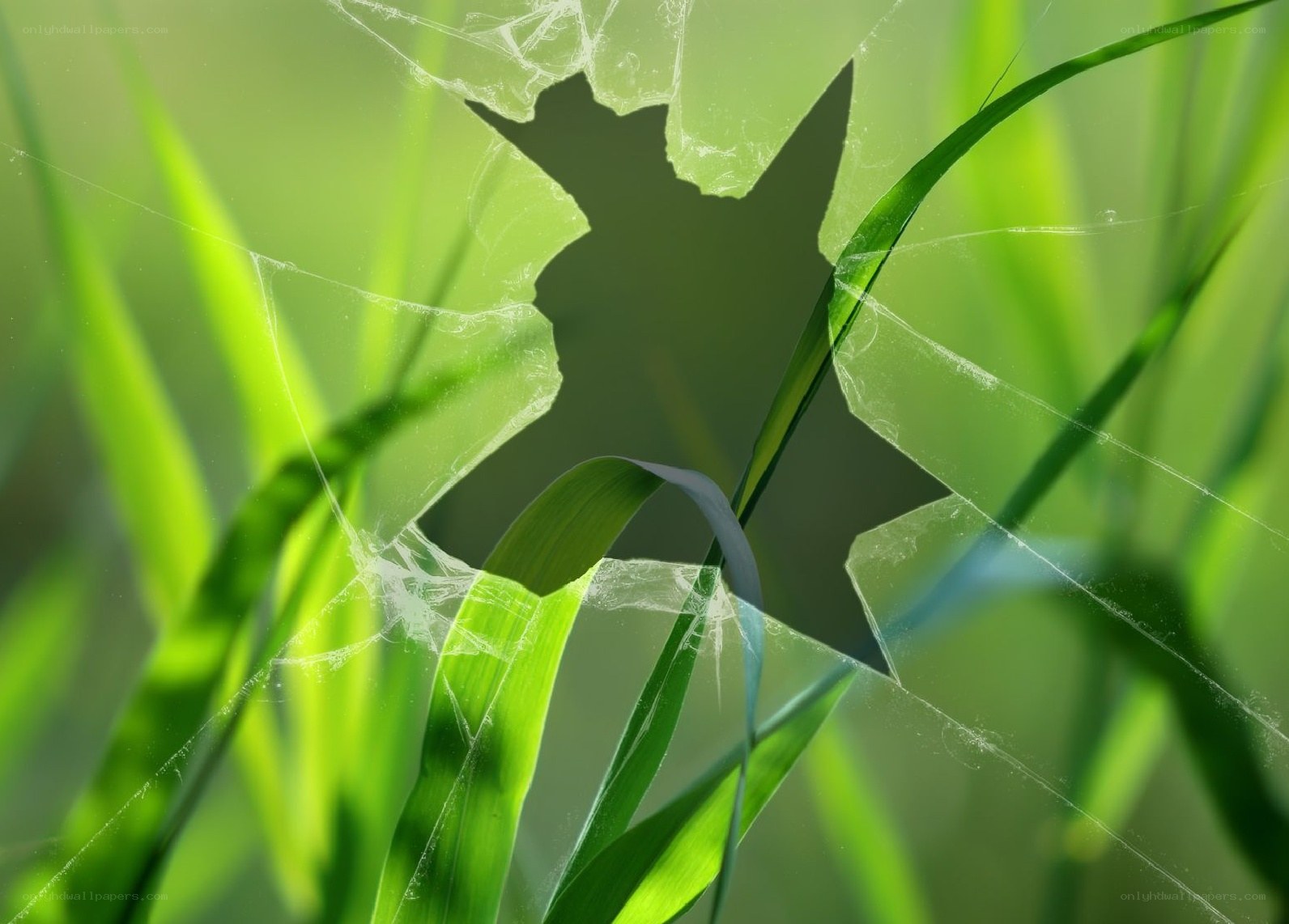 green grass through cracked glass