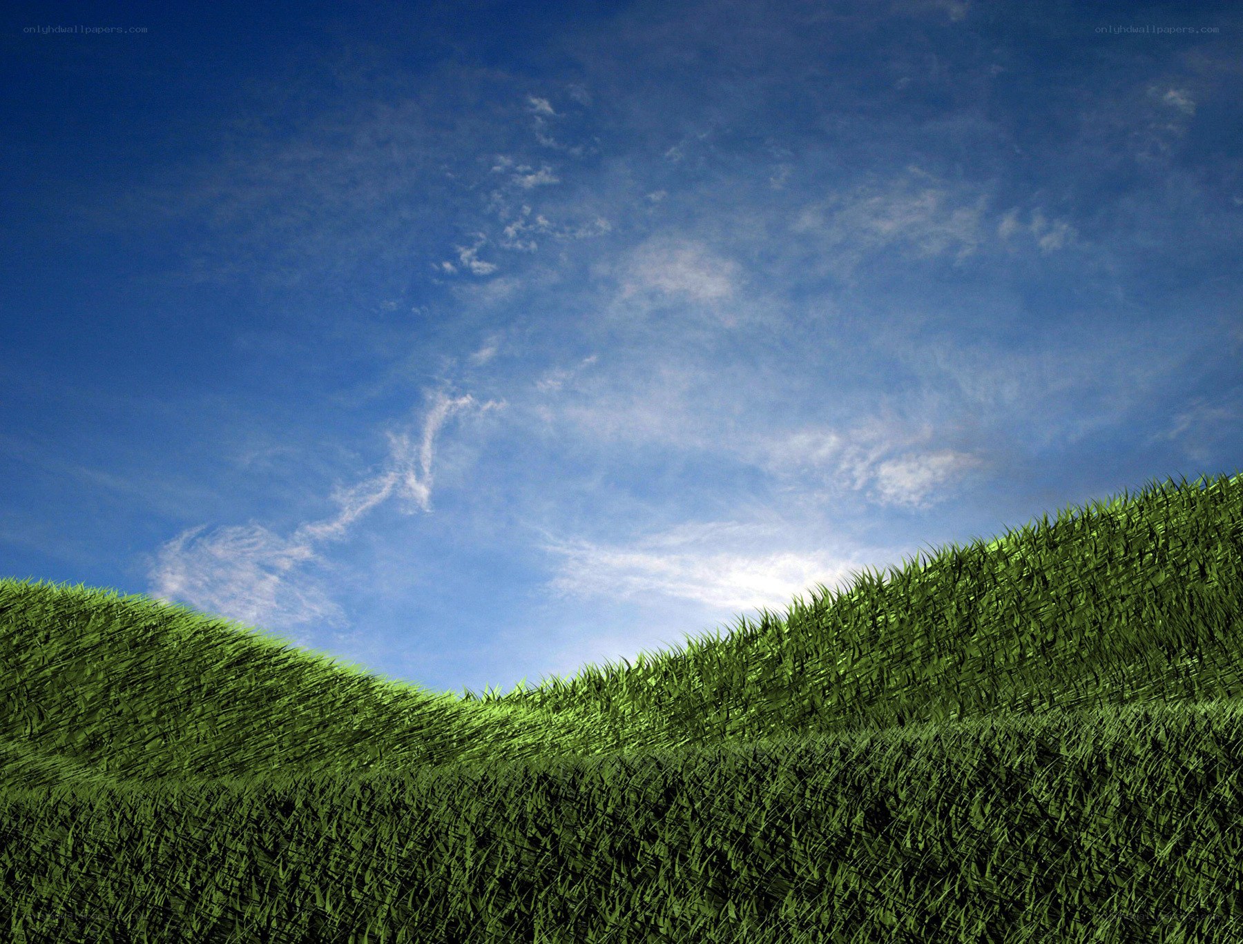 Green grass under blue sky