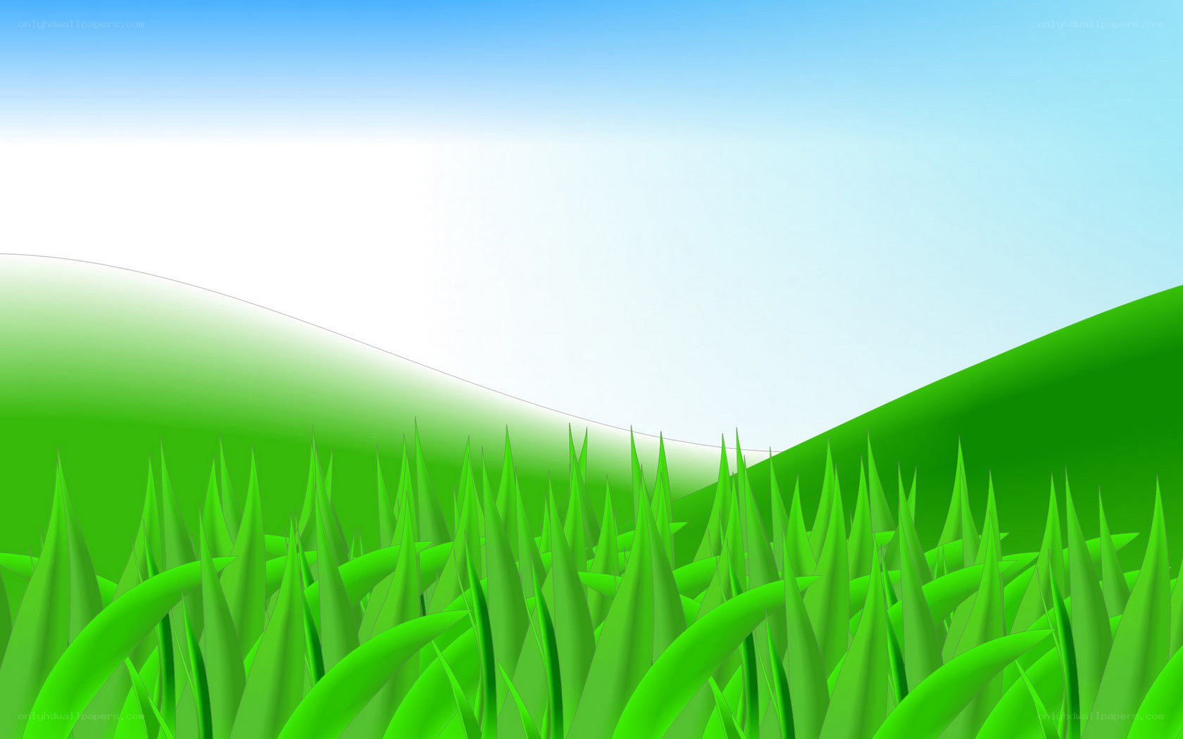 green grass under blue sky