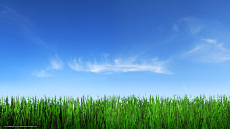 Green Grass under Blue Sky — Serene, Afternoon