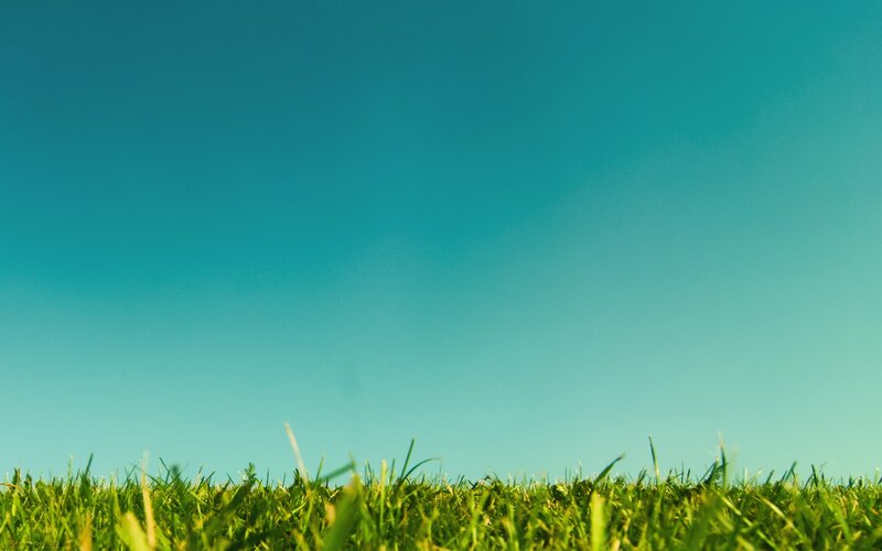 Green Grass under Blue Sky — Serene, Photograph