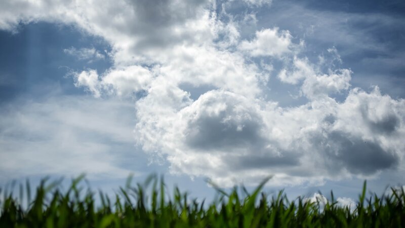 Green Grass under Clouds