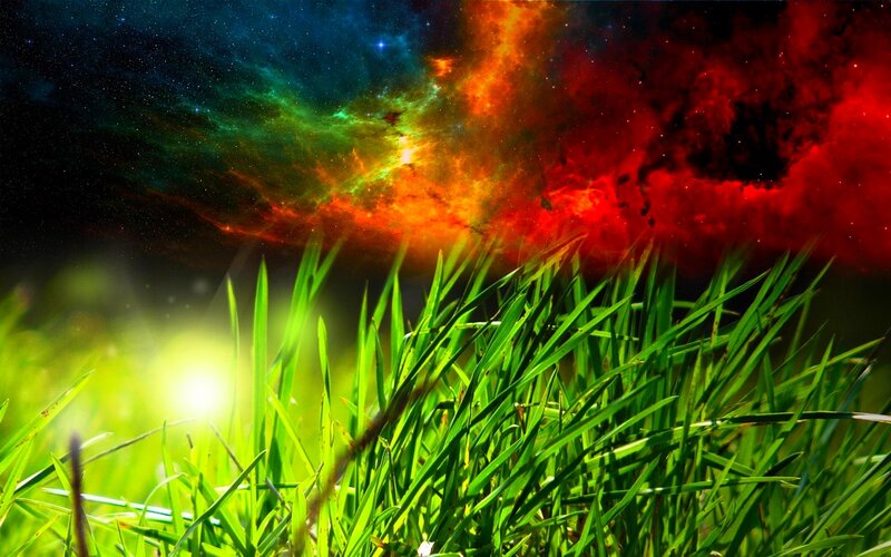 Green Grass under Nebula