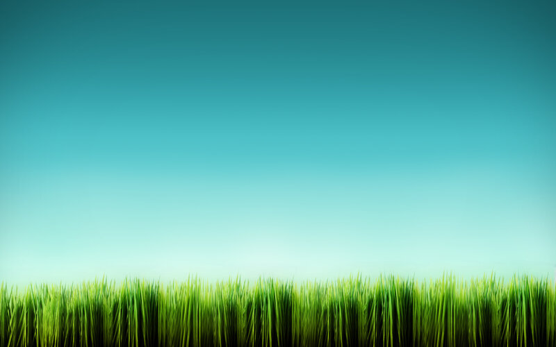 Green Grass under Sky — Serene, Morning