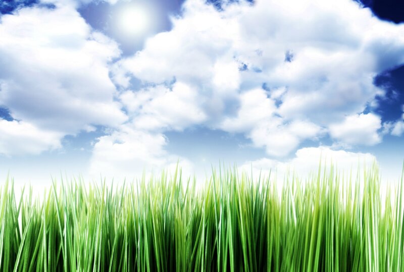 Green Grass under Sky — Serene