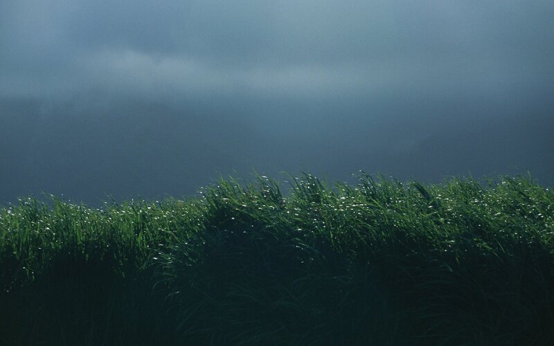 Green Grass under Stormy Sky — Dramatic, Photograph