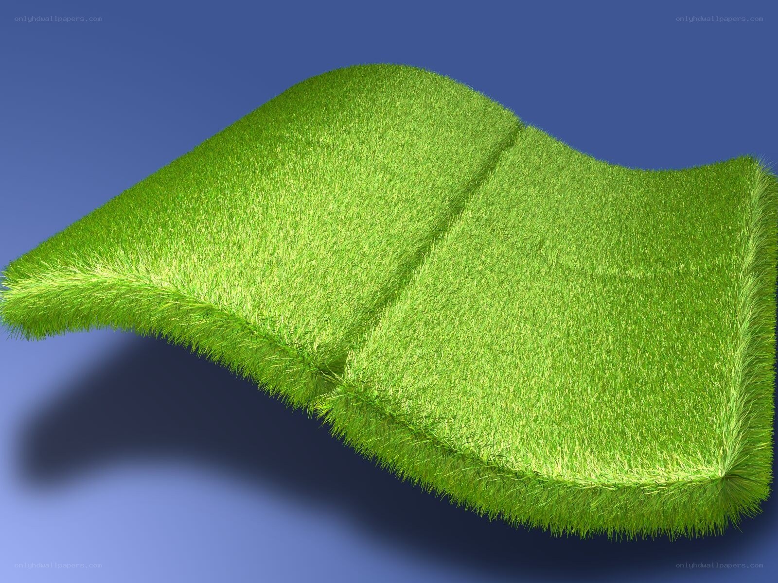 green grass wave