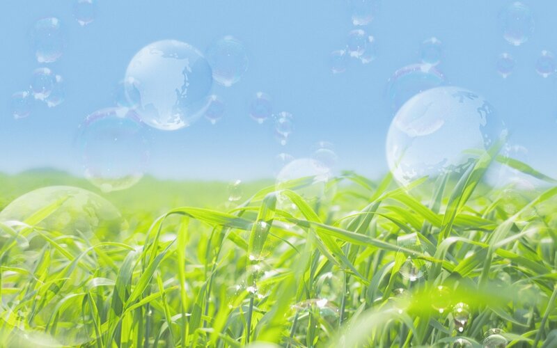 Green Grass with Bubbles — Serene, Morning, Photograph