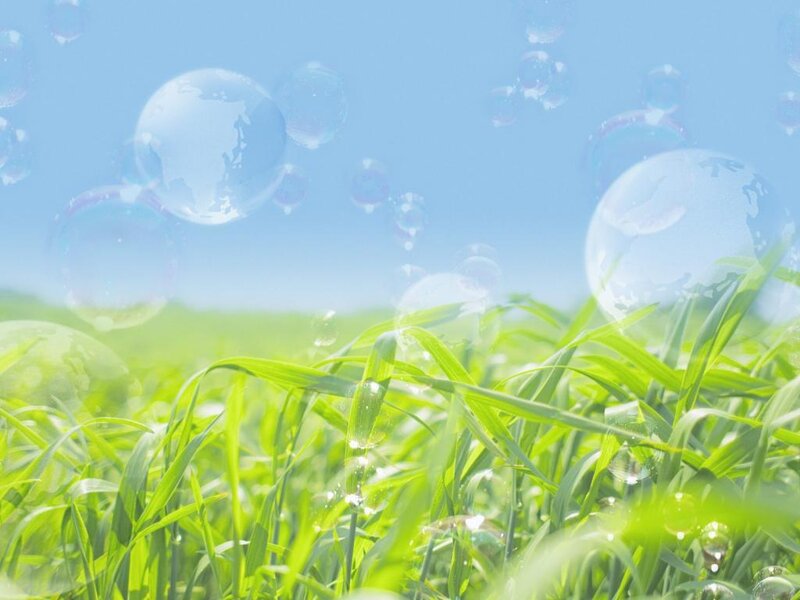 Green Grass with Bubbles — Serene, Morning