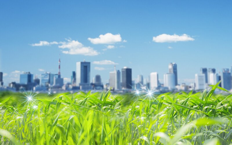 Green Grass with City Skyline
