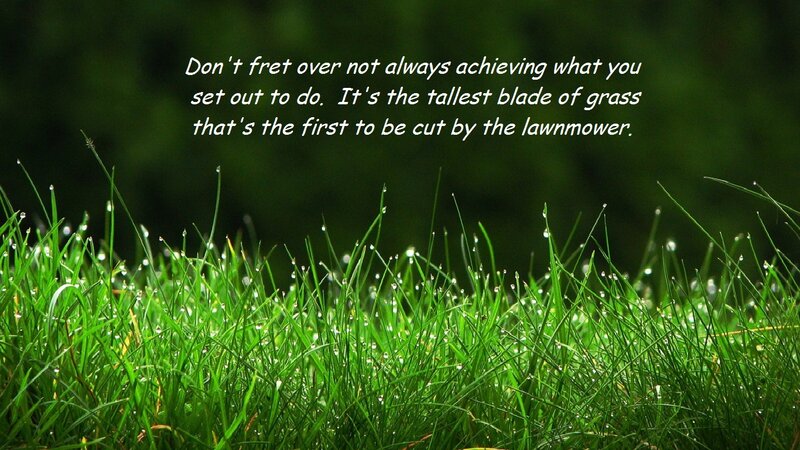 Green Grass with Dew — Calm, Morning, Photograph, Dew Drops, Text