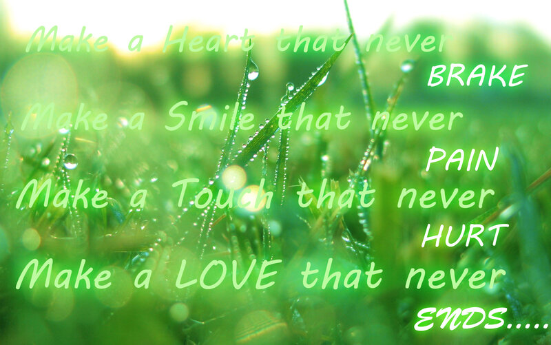 green grass with dew drops