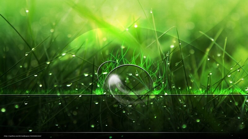Green Grass with Dew Drops — Serene, Morning, Digital Art