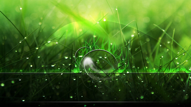 Green Grass with Dew — Serene, Morning, Digital Art