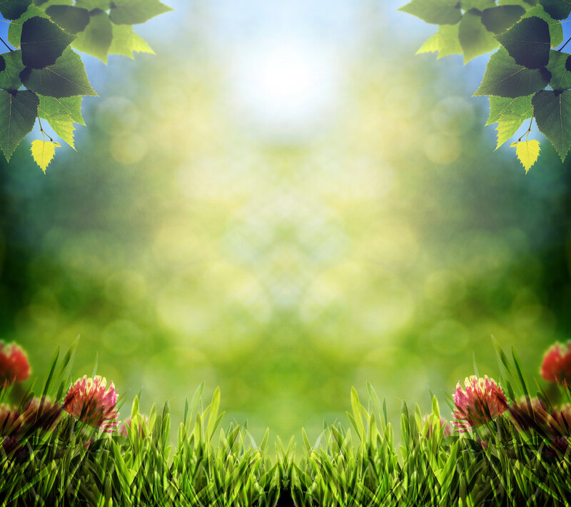 Green Grass with Flowers — Serene