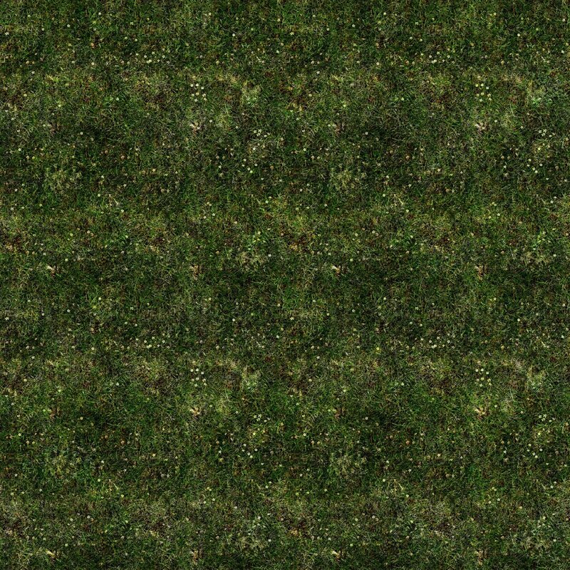 green grass with small flowers