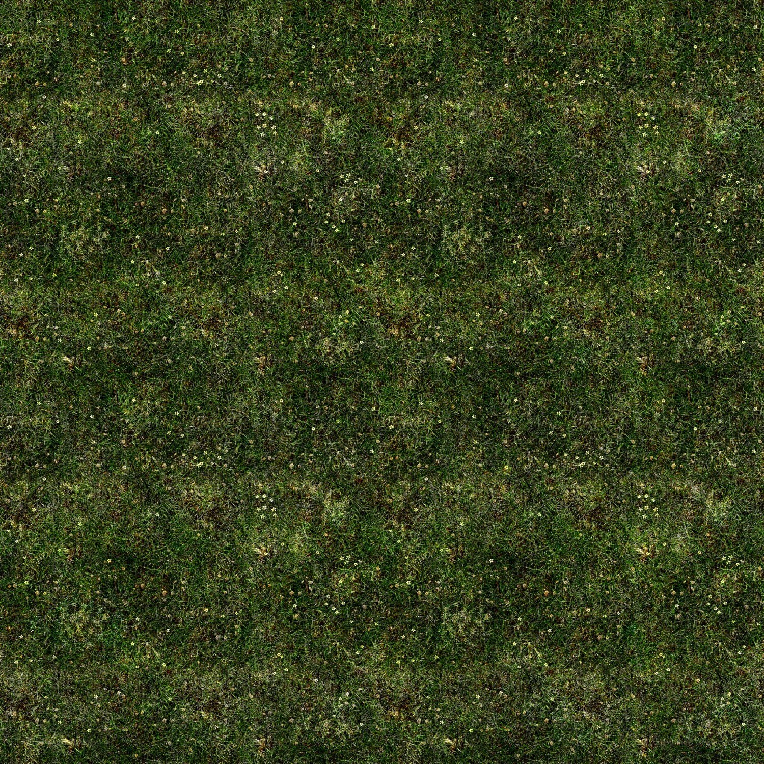 green grass with small flowers