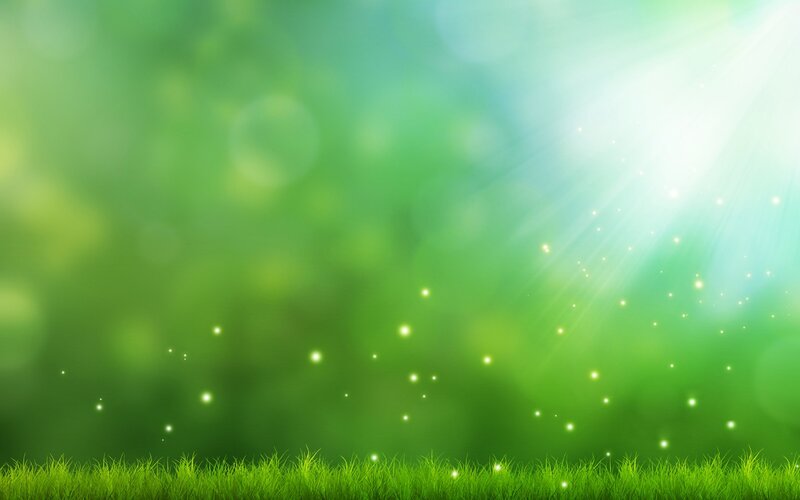Green Grass with Sunbeams — Serene