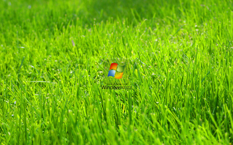 green grass with windows vista logo