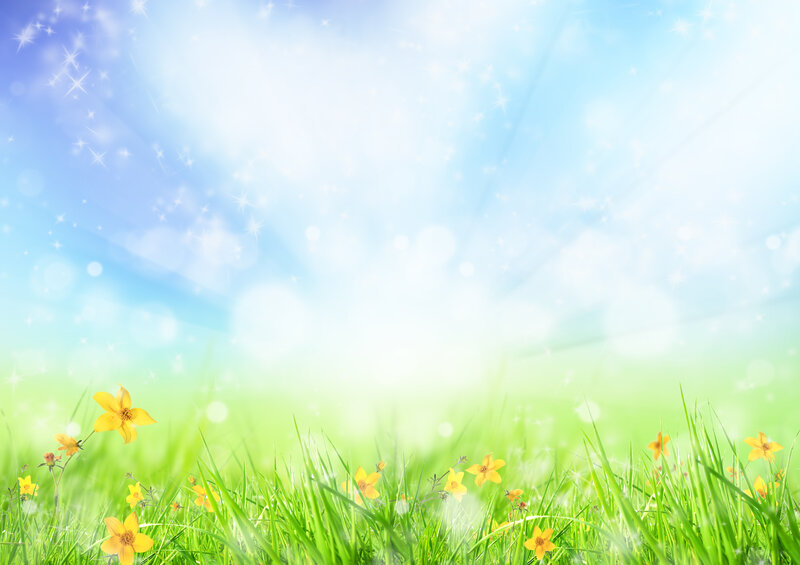 Green Grass with Yellow Flowers — Serene