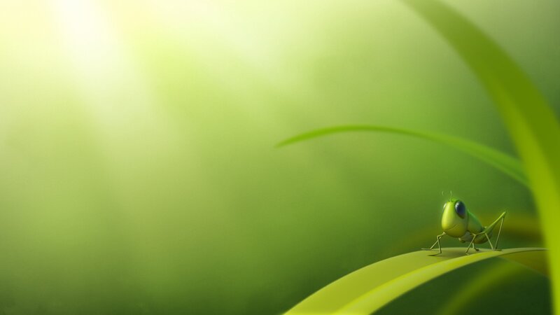Green Grasshopper on Leaf — Serene, Morning