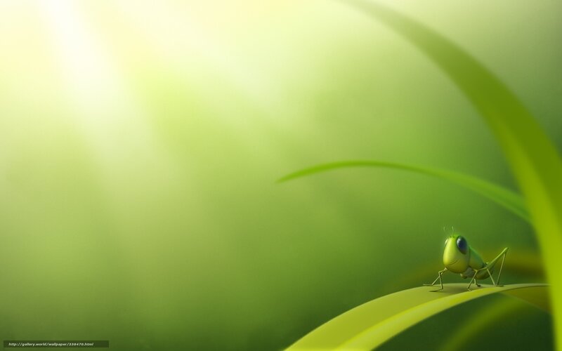 Green Grasshopper on Leaf — Serene