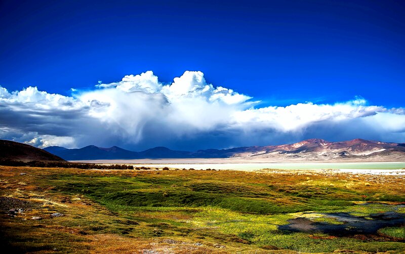 Green Grassland with Lake