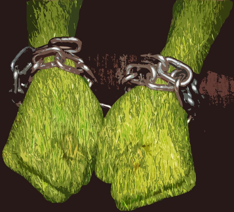 Green Grassy Feet