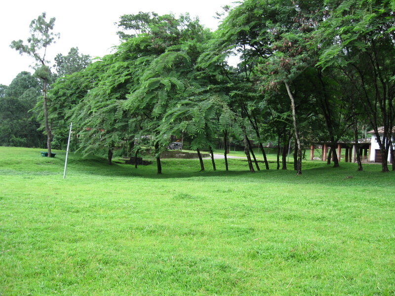 Green Grassy Field — Calm