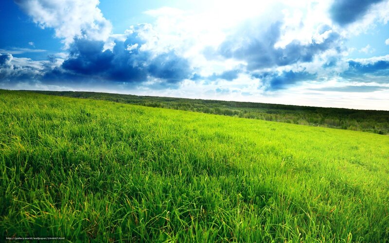 Green Grassy Field — Dramatic, Afternoon
