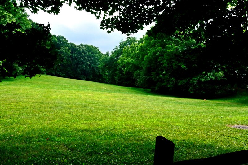 Green Grassy Field — Serene, Afternoon, Photograph, Trees, Sky, Fence Post