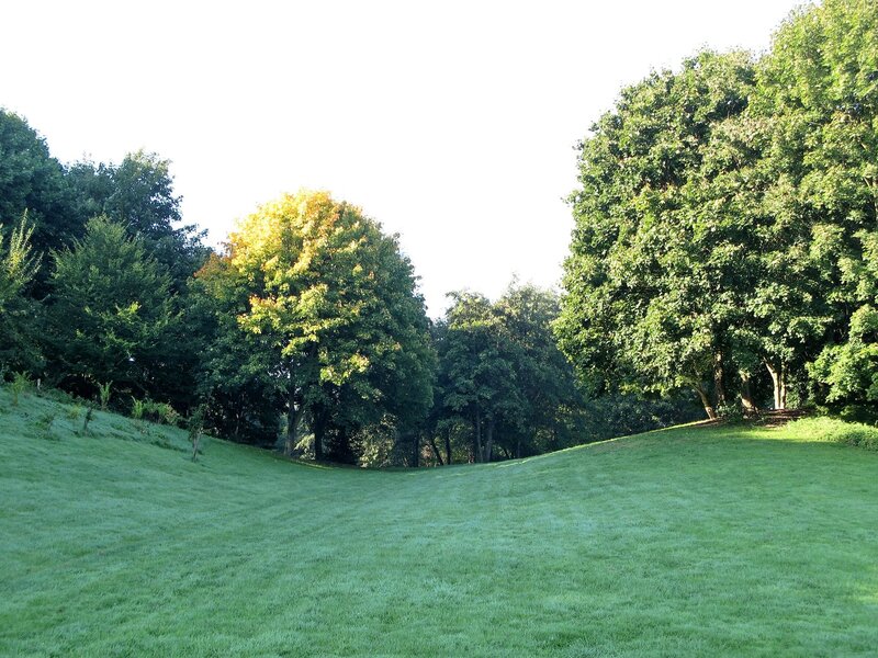 Green Grassy Hill — Serene, Morning, Photograph, Trees