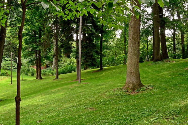 Green Grassy Hill