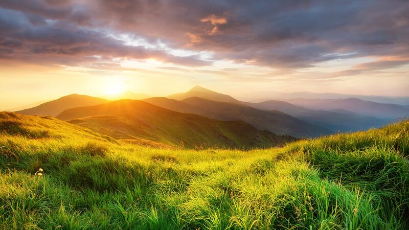 Green Grassy Hillside — Serene, Sunset