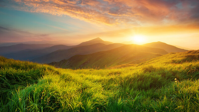 Green Grassy Hillside — Serene