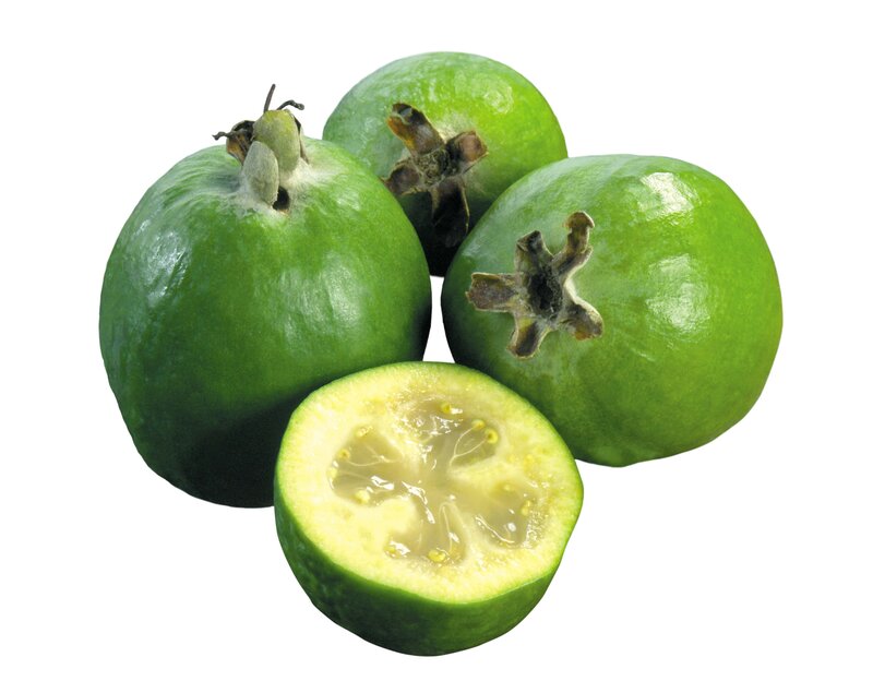 green guavas fruit