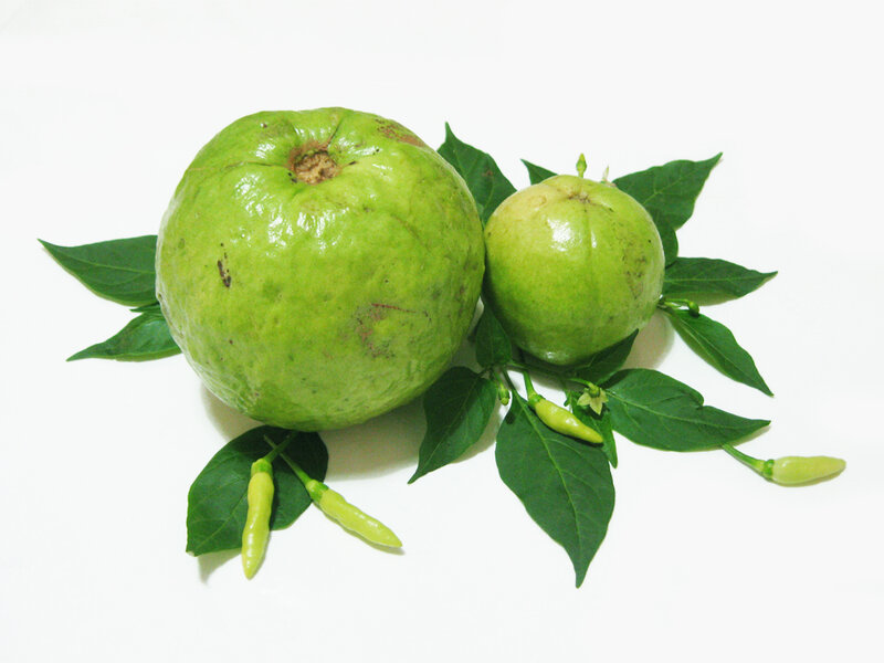 Green Guavas with Leaves