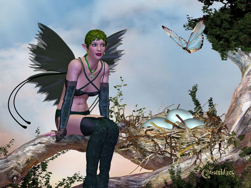 Green-haired Fairy on Branch